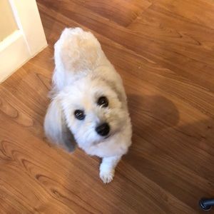 Meet your Posher, Judy